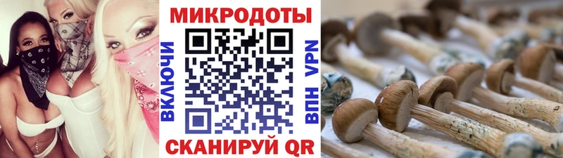 Псилоцибиновые грибы GOLDEN TEACHER  хочу наркоту  Пустошка 